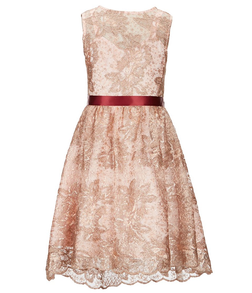 Rare Editions Big Girls 7-16 Embroidered Fit-And-Flare Dress