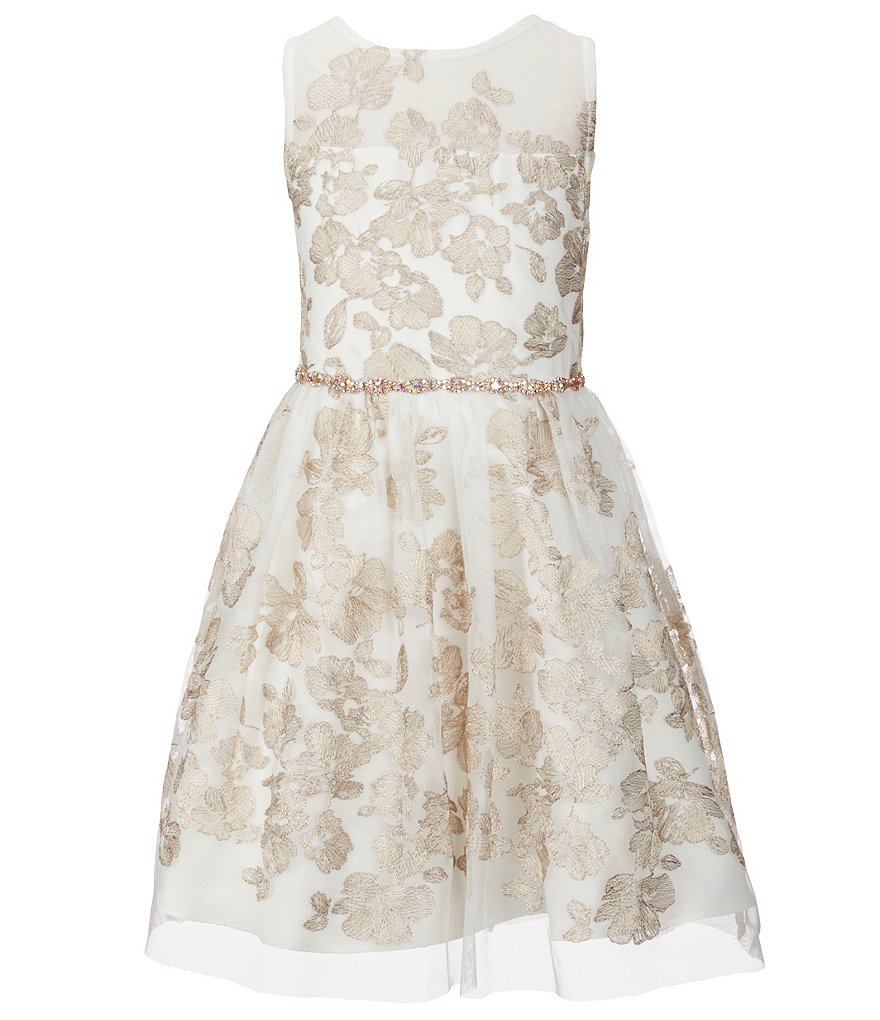 Rare Editions Big Girls 7-16 Floral Embroidered Mesh Dress
