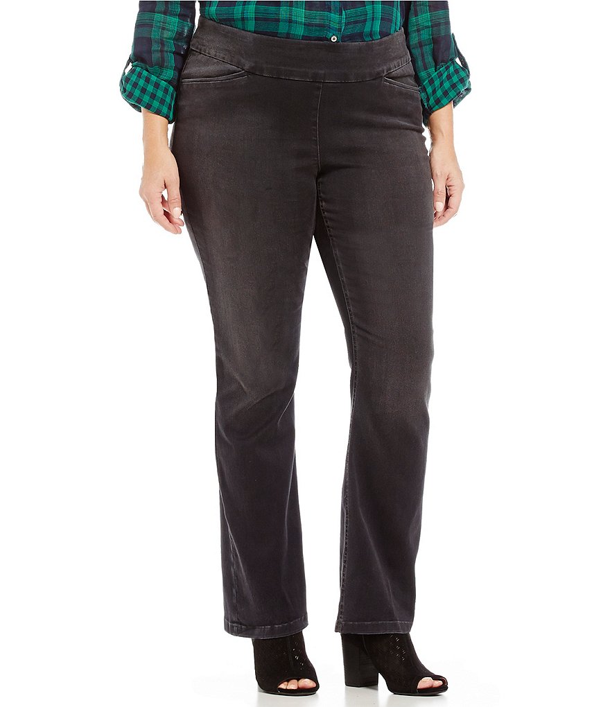Westbound Plus the Park Ave fit Bootcut Pant