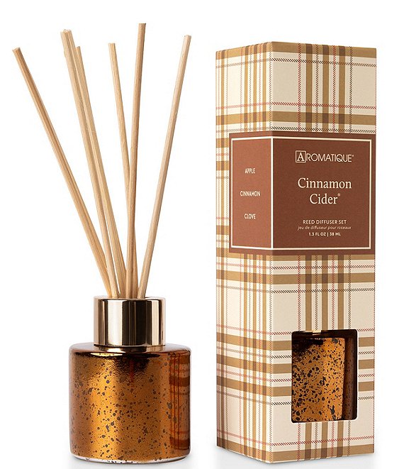 Aromatique Cinnamon Cider Mini Reed Diffuser Set