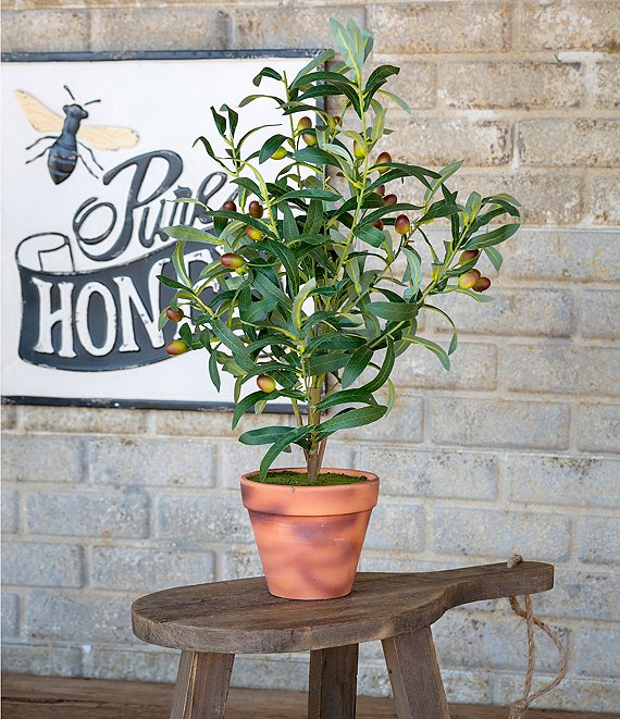 Park Hill Hand Crafted Potted Olive Topiary