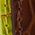 Color Swatch - Brown