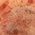 Color Swatch - Coral Multi