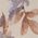 Color Swatch - Floral