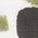 Color Swatch - Green