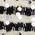 Color Swatch - Black/White