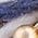 Color Swatch - Blue
