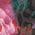 Color Swatch - Floral