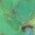 Color Swatch - Lime Turquoise/Gold