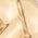Color Swatch - Crystal/Gold