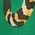 Color Swatch - Green/Yellow