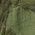 Color Swatch - Moss Green