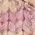 Color Swatch - Purple