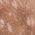 Color Swatch - Animal