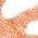 Color Swatch - Animal
