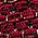 Color Swatch - Red