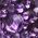 Color Swatch - Purple