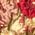 Color Swatch - Red