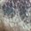 Color Swatch - Silver