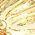 Color Swatch - Gold