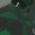Color Swatch - Green