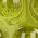 Color Swatch - Green