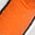 Color Swatch - Sterling Silver/Orange