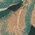 Color Swatch - Green