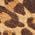 Color Swatch - Leopard