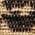 Color Swatch - Leopard