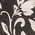 Color Swatch - Black/White Floral