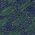 Color Swatch - Green
