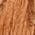 Color Swatch - Brown