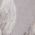 Color Swatch - Grey
