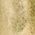 Color Swatch - Worn Gold