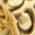 Color Swatch - Gold