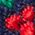 Color Swatch - Navy