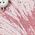 Color Swatch - Pink