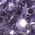 Color Swatch - Purple