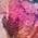 Color Swatch - Floral