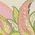 Color Swatch - Pink