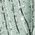 Color Swatch - Fresh Mint