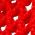 Color Swatch - Red