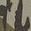 Color Swatch - Bottomland