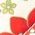 Color Swatch - Floral