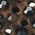 Color Swatch - Brown