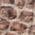 Color Swatch - Brown