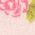 Color Swatch - Pink