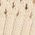 Color Swatch - White