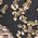 Color Swatch - Gold